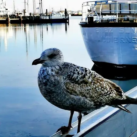 Hausboot Smaragd Mit Grossem Sonnendeck Und Inklusive Waeschepaketen * Барт